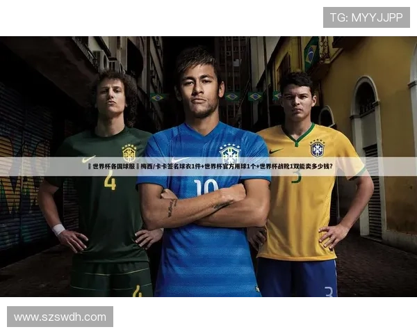 2026世界杯赛事平台综合排名分析及用户体验评测 - 副本 (3)