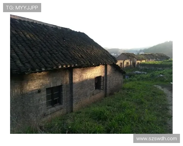 世界杯精彩赛事解析与球星表现深度点评全记录 - 副本 (2) - 副本